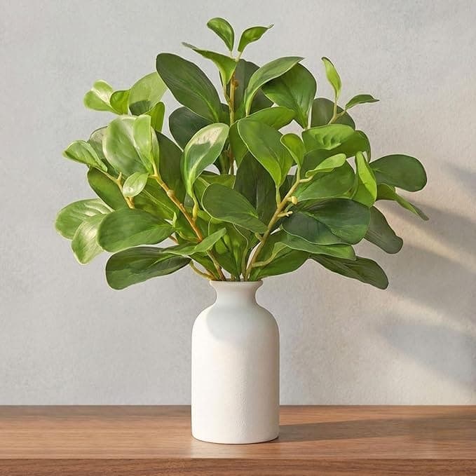 Studio Product Photo